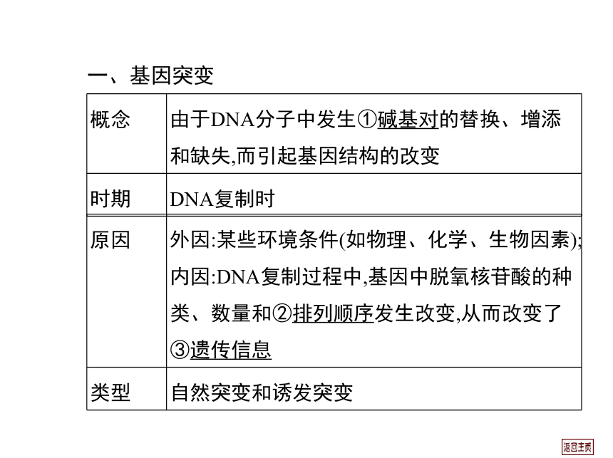 2014届高三生物一轮复习课件： 7.1 基因突变、基因重组和染色体变异