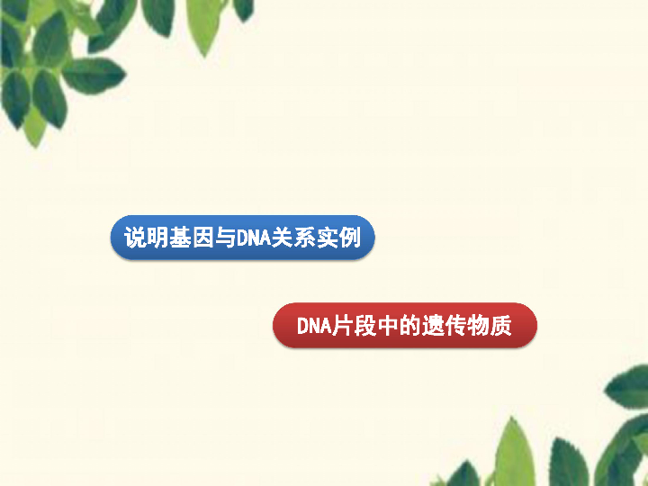 人教版高中生物必修二第3章第4节基因是有遗传效应的DNA片段课件 共22张PPT