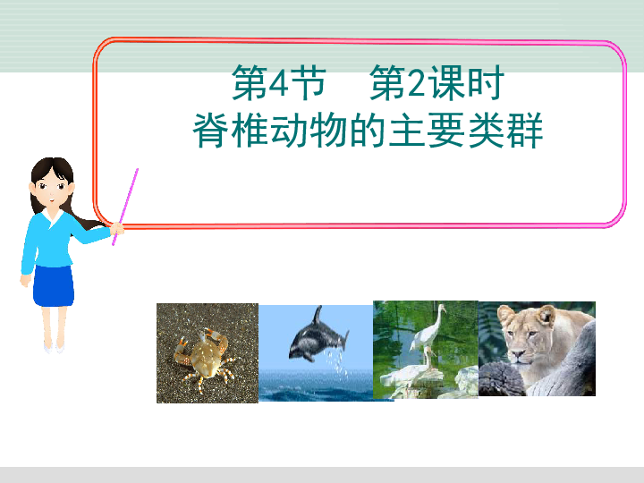 北师大版八下生物 22.4动物的主要类群 课件（36张PPT）