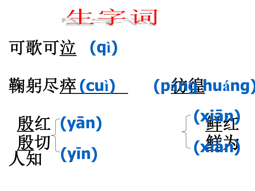 《邓稼先》课件