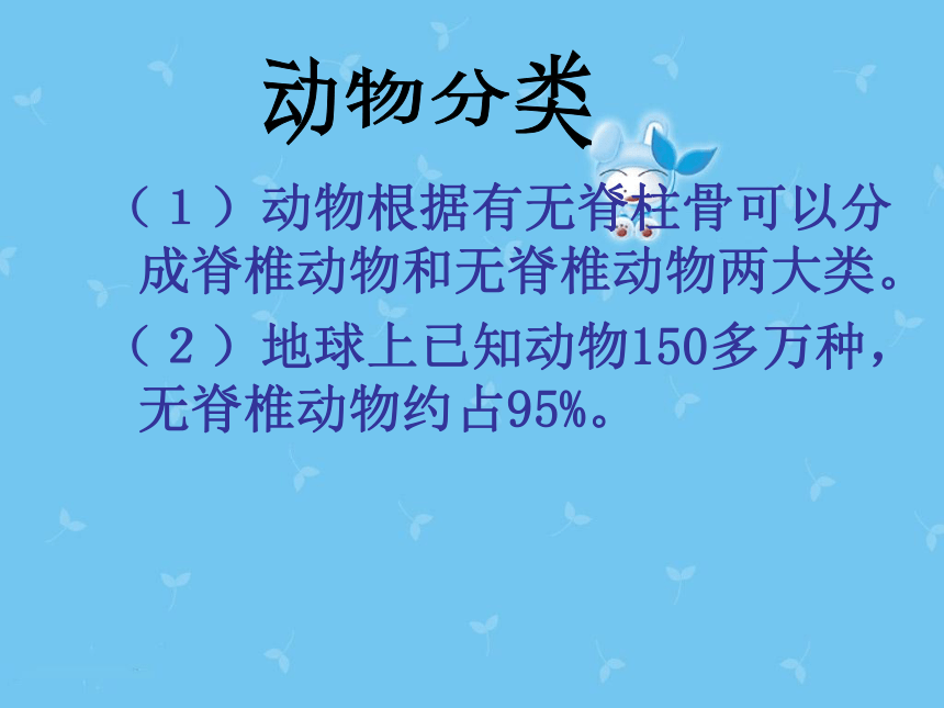 苏教版八年级上册生物14-2：千姿百态的动物世界课件(33张PPT)