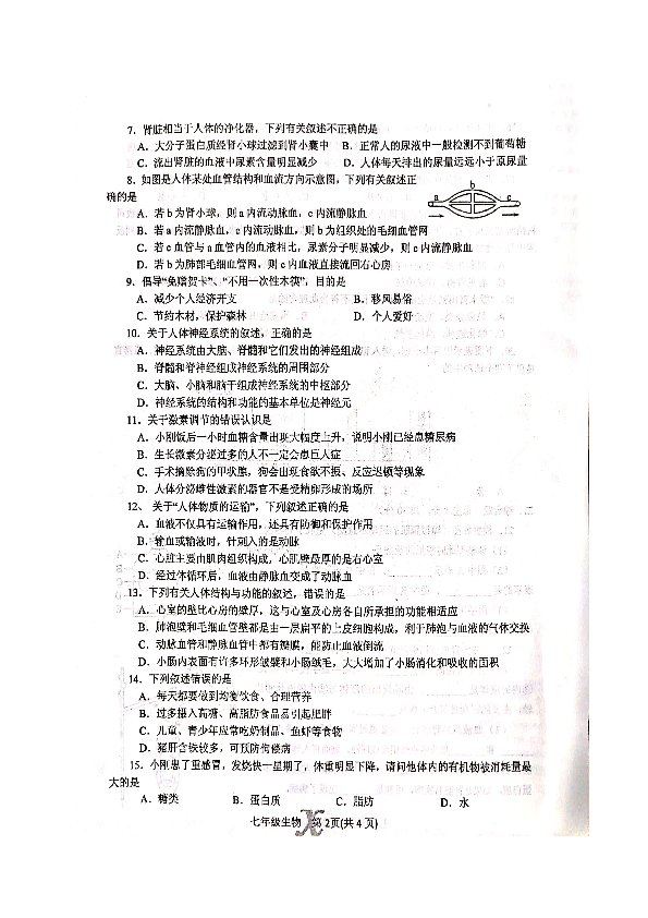 河南省南阳市内乡县2018-2019学年七年级下学期期终质量评估生物试题（图片版）
