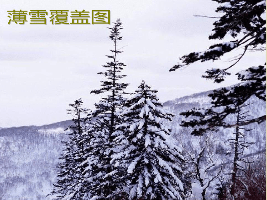 初中语文语文版七年级上册第三单元第10课：《济南的冬天》课件