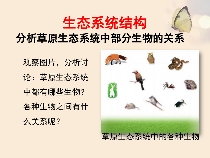 北师大版八下生物 23.2生态系统概述 课件(24张PPT)