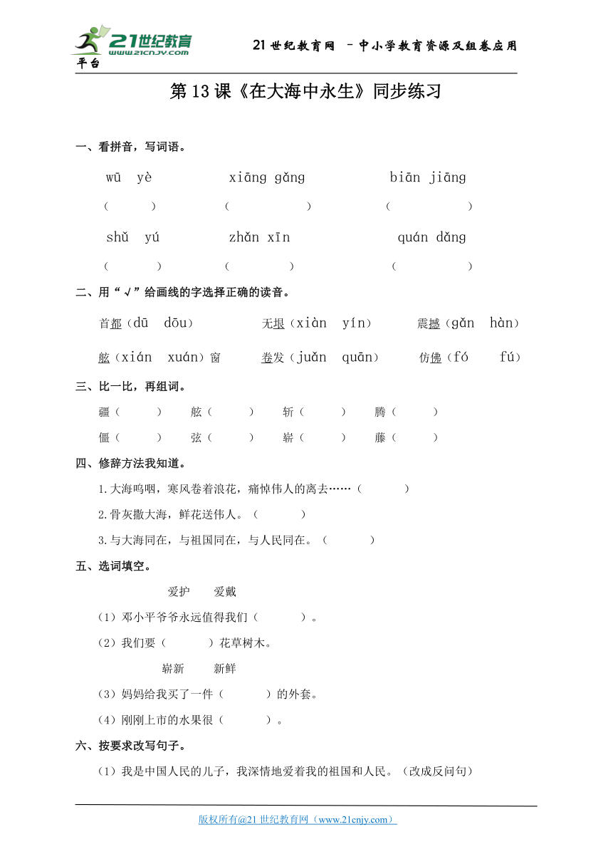 五上 第13课《在大海中永生》（练习）