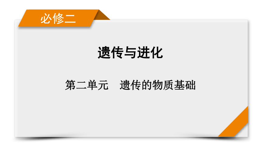 考能提升4 遗传的物质基础和基本规律（共30张PPT）