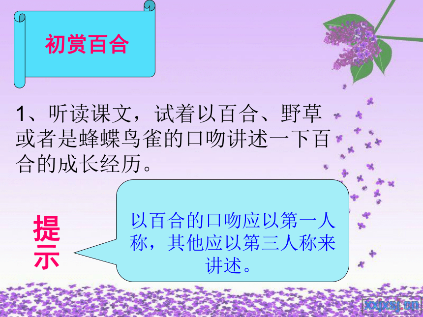 课件预览