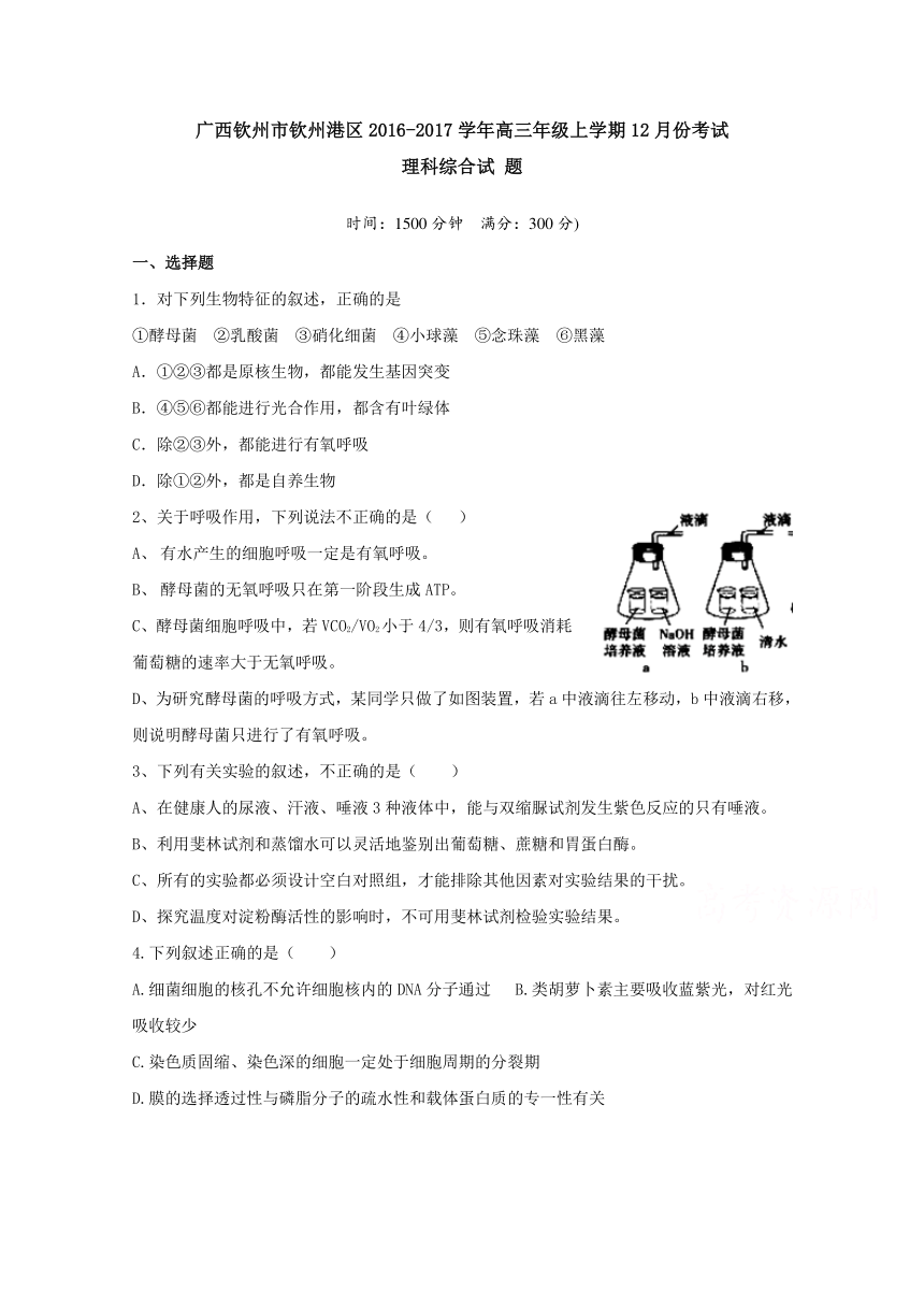 广西钦州市钦州港区2017届高三上学期12月份考试理科综合考试试题 Word版含答案