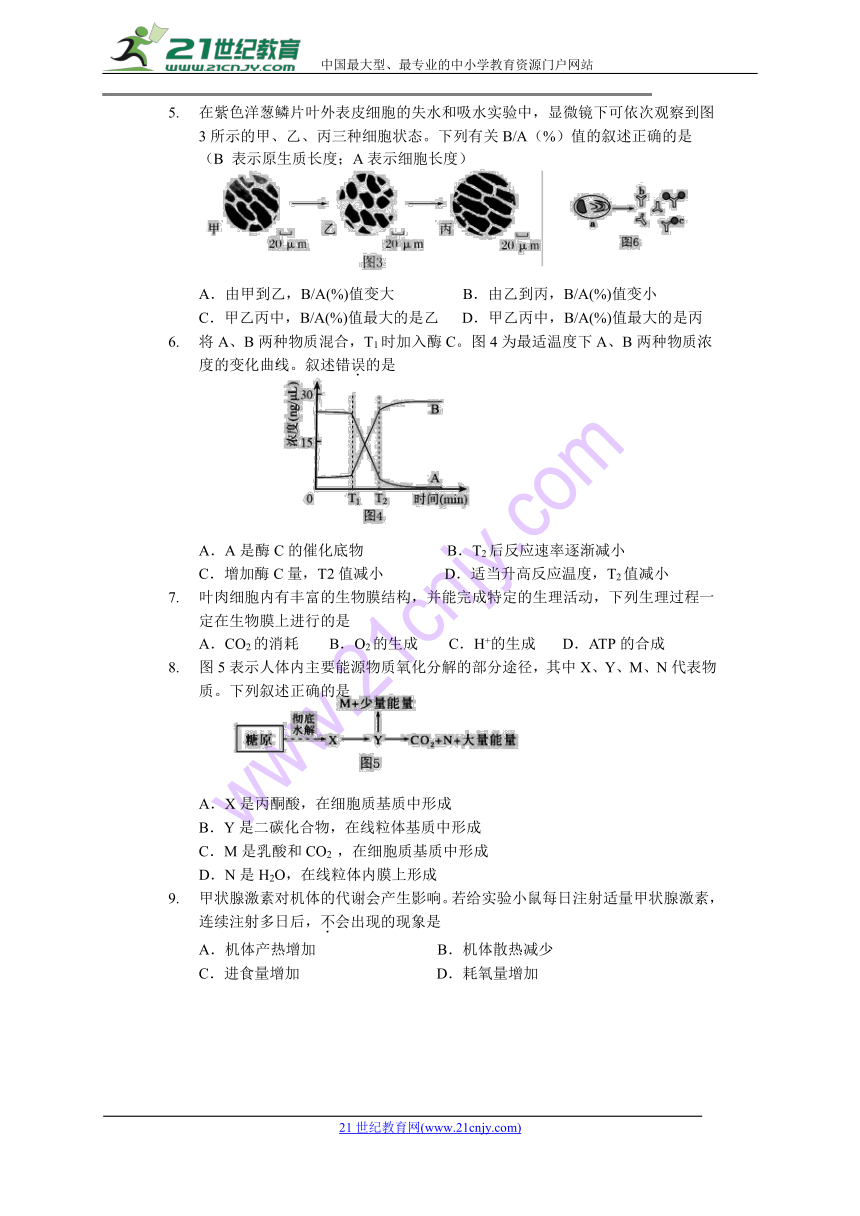 上海市金山区2018届高三下学期质量监控（二模）生物试题