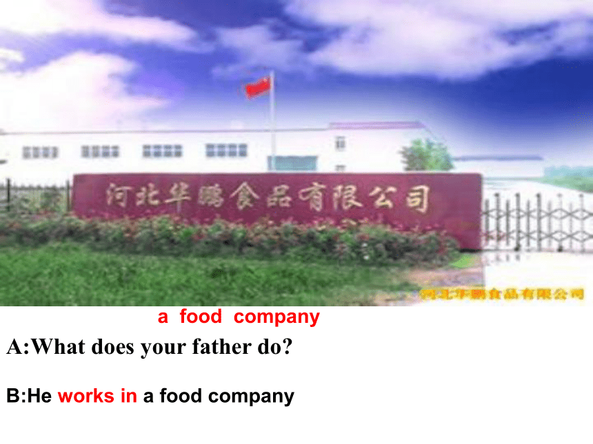 Unit 8 What does your father do?课件