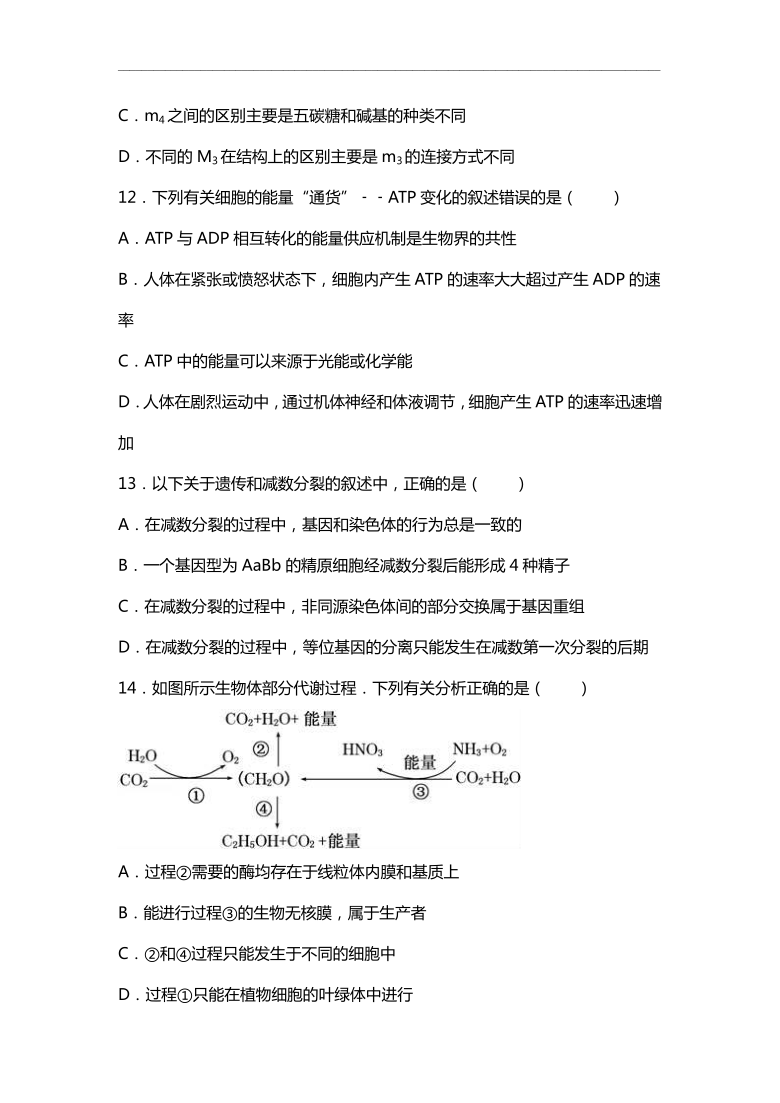 湖南省茶陵三中2021届高三上学期第一次月考生物试题（仅有选择题答案）