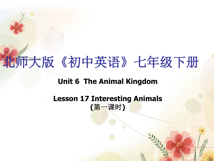 Unit 6 The Animal Kingdom Lesson 17 Interesting Animals （第一课时）课件