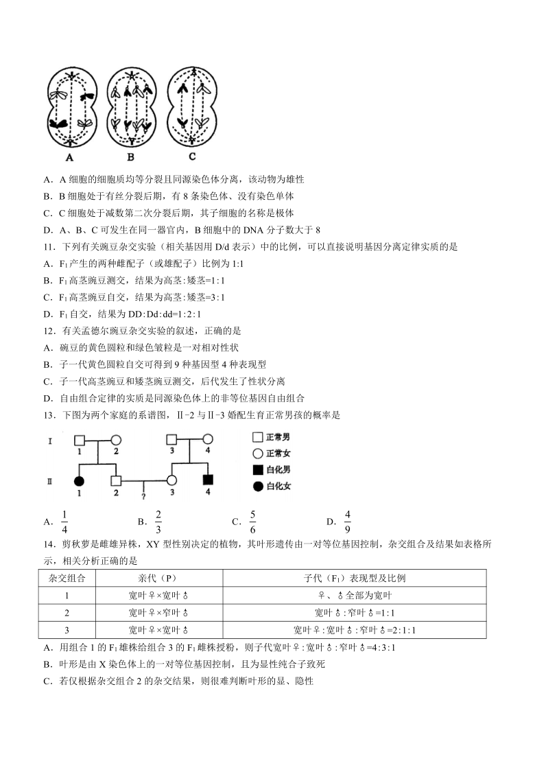 安徽省池州市东至县2020-2021学年高二下学期期末考试生物试题 Word版含解析