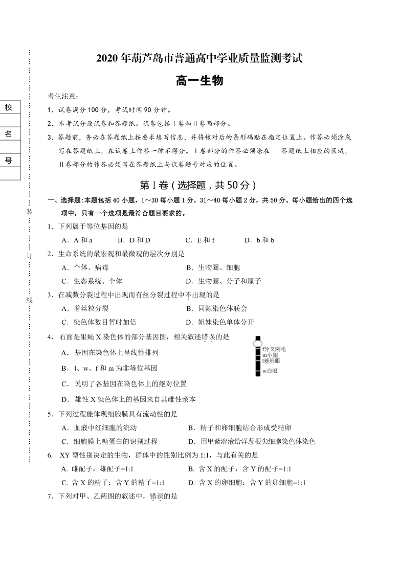 辽宁省葫芦岛市2019-2020学年高一下学期期末考试生物试题