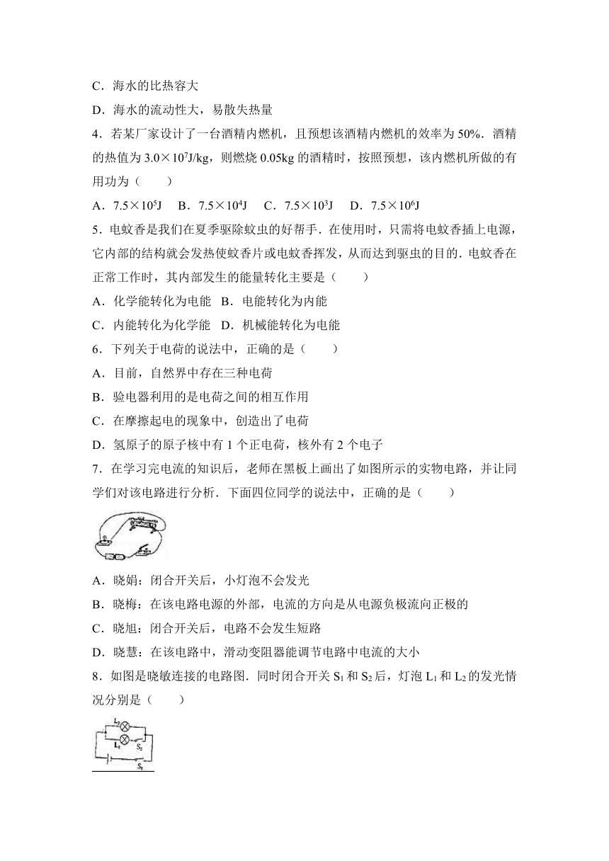 河北省邯郸市大名中学2017届九年级（上）期中物理试卷（解析版）