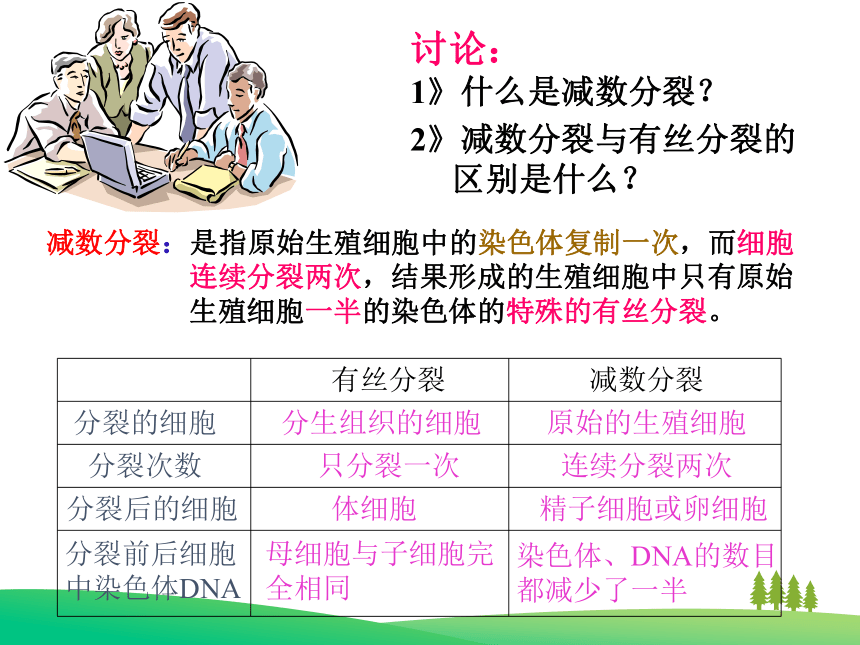 吉林省辽源普高 必修2 第二章第1节减数分裂和受精作用 课件（30张）