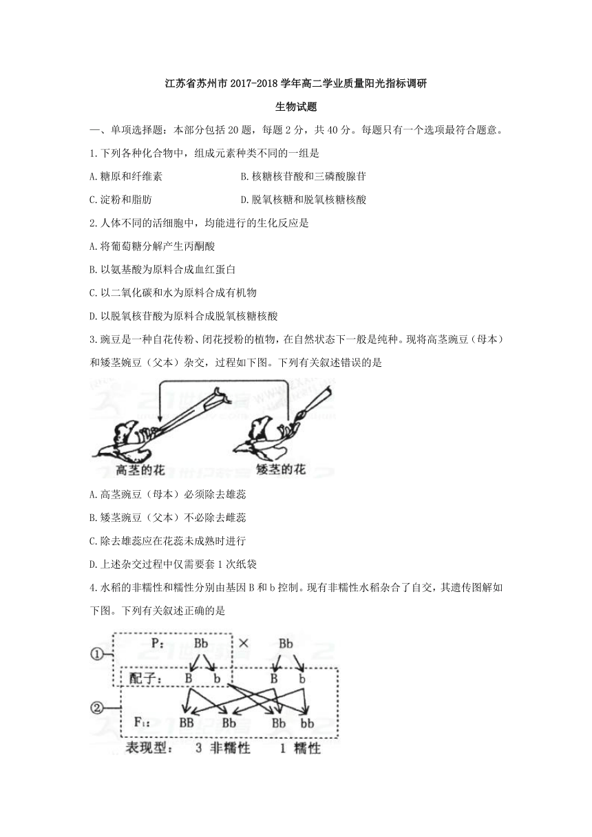 江苏省苏州市2017-2018学年高二学业质量阳光指标调研生物试题