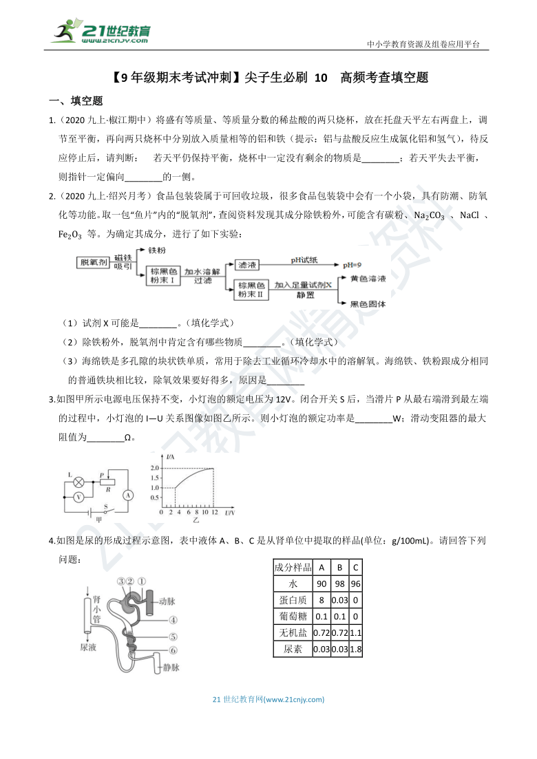 【9年级期末考试冲刺】尖子生必刷 10  高频考查填空题（含答案）