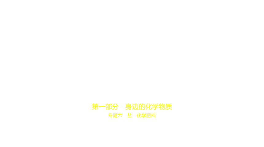 化学中考复习安徽专用 专题六　盐　化学肥料课件(ppt 共105张)