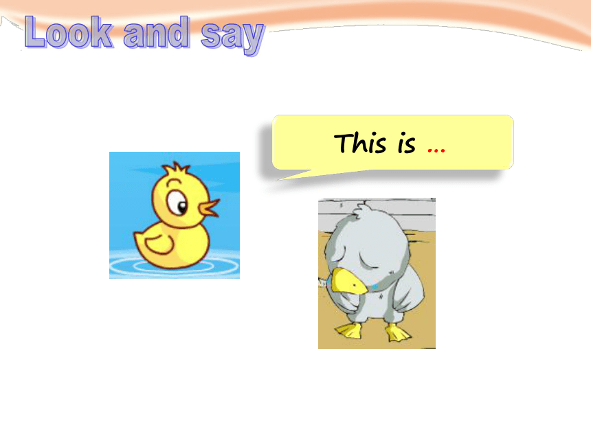 Unit 12 The ugly duckling 第一课时课件