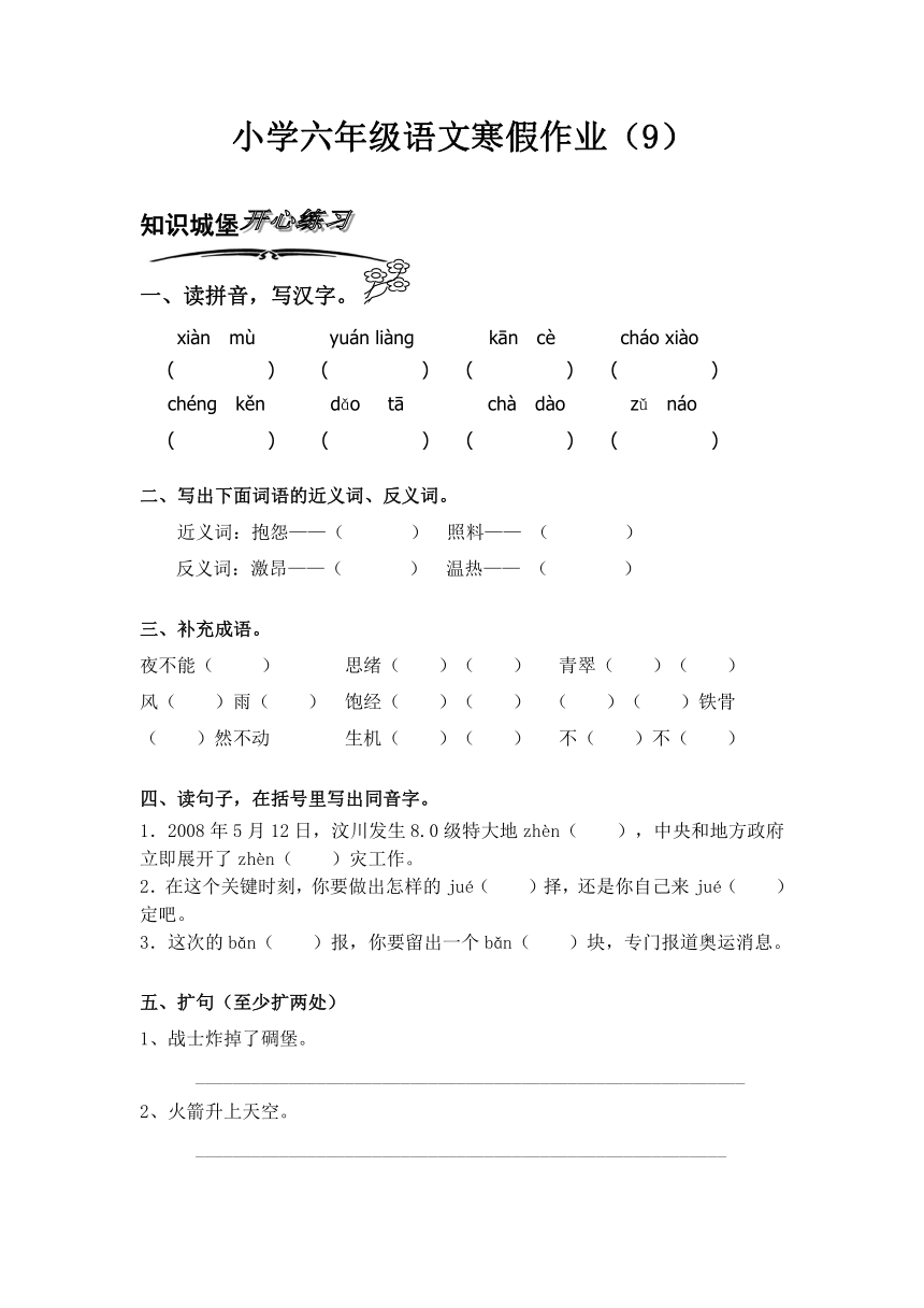 北师大版小学语文六年级上册寒假专项训练（9）