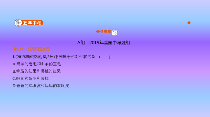 2020版人教中考生物一轮专题课件专题十二 生物的遗传和变异课件（156张PPT）