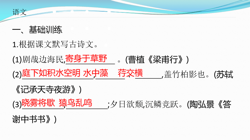 课件预览