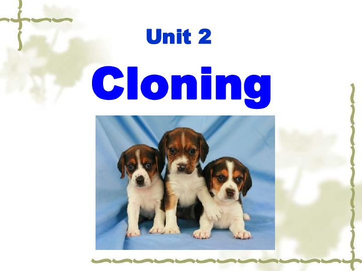 人教版选修8Unit 2 Cloning  Reading 课件 （共27张）