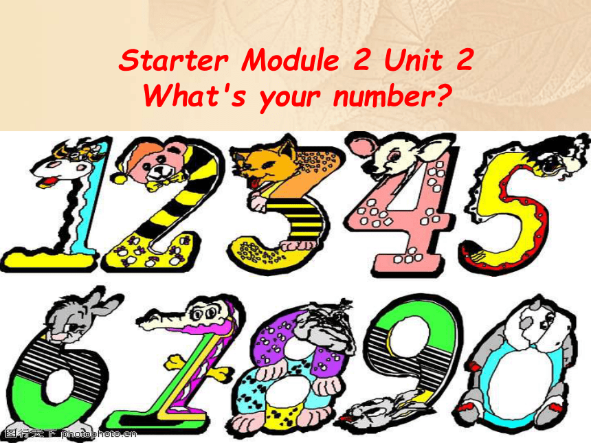 Starter Module 2 My English lesson Unit 2 What's your number? 课件（15张）