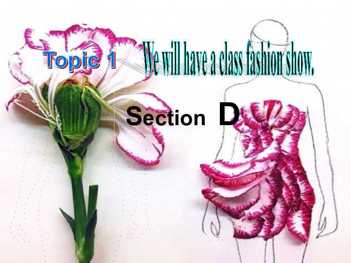 Unit 8 Our Clothes Topic 1 We will have a class fashion show.SectionD课件27张PPT