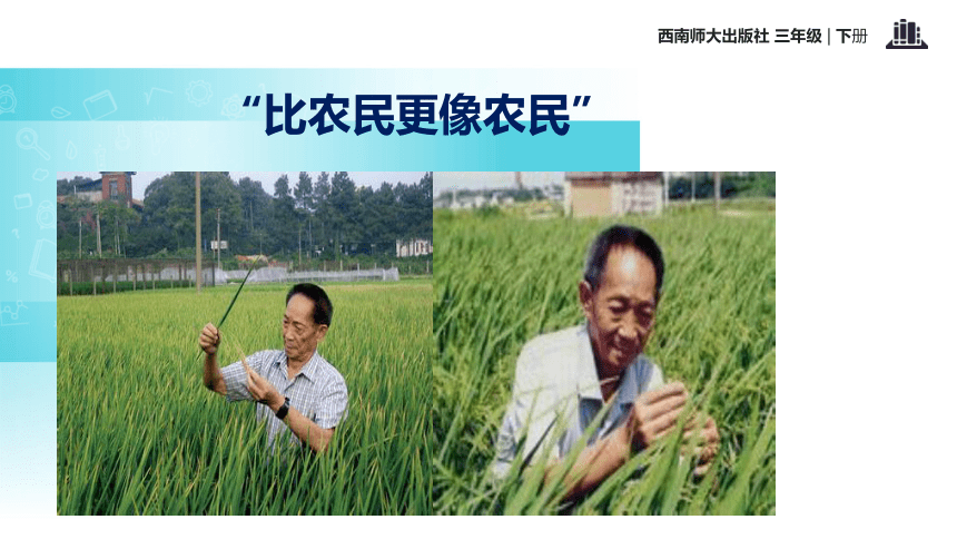 杂交水稻之父  课件 (共19张PPT)