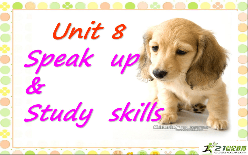 7B Unit8 Pets Speak up ａｎｄ study skills课件