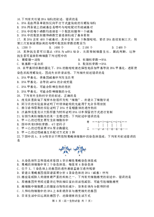辽宁省大连市旅顺口区2019-2020学年高一下学期期末考试生物试卷