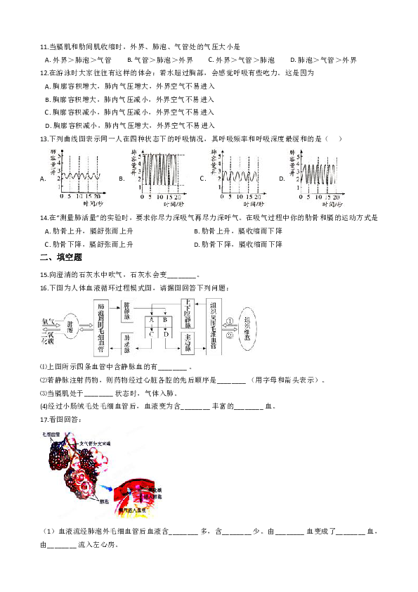 苏教版七年级下册生物 10.4人体内的气体交换 练习（含答案解析）
