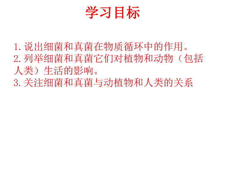 人教版八年级上册第四章第四节细菌真菌在自然界中的作用课件（20张ppt）