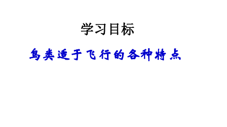 人教版八年级生物上册第五单元第一章第六节 鸟课件 (共27张PPT)