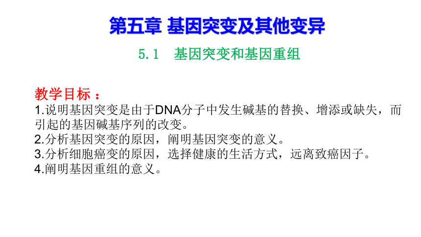 51基因突變和基因重組共19張ppt