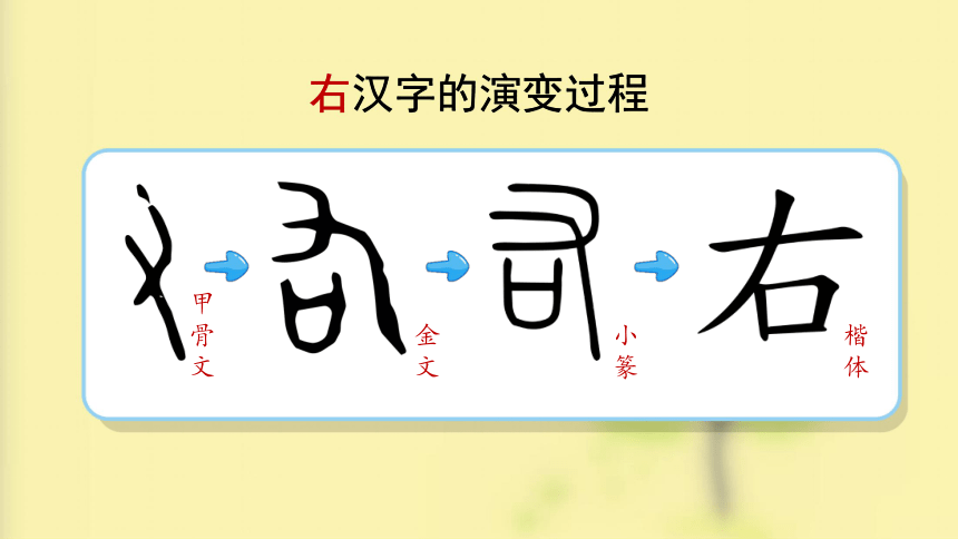 小学数学人教版一年级上22左右教学课件共14张ppt