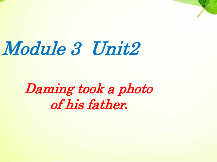 Module 3 Unit 2 Daming took a photo of his father.课件 (共18张PPT)无音视频