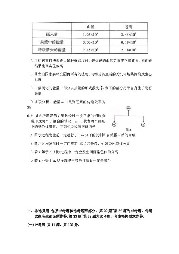 重庆市巴蜀中学2020届高三下学期适应性月考九理科综合生物试题