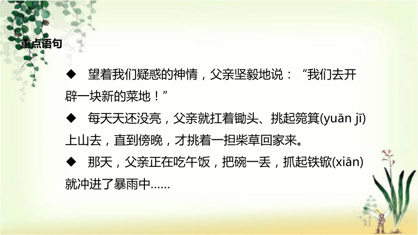 父亲的菜园课件 (共21张PPT)