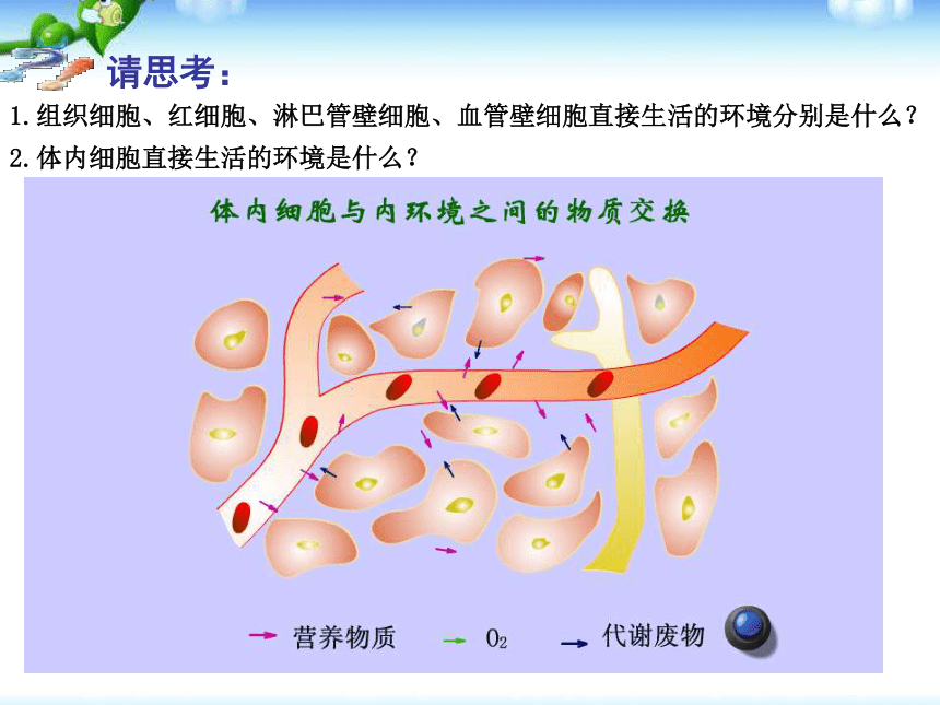 高中生物人教版必修三 第一章第一节细胞生活的环境 课件 (22)