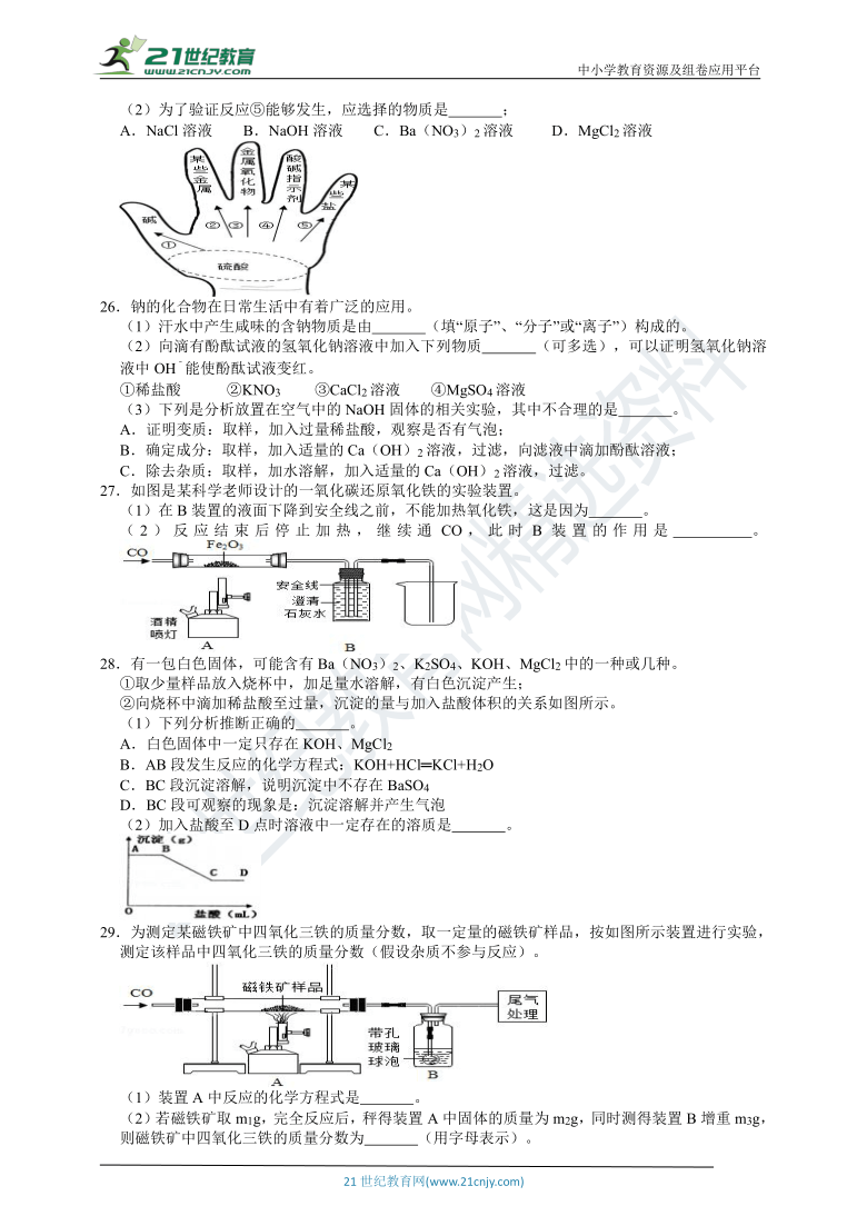 【备考2021】华师大版中考科学三轮冲刺综合练习：化学部分（含解析）