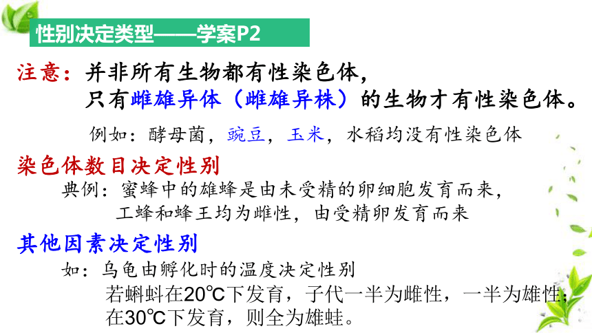 人教版高一生物必修二2.3  伴性遗传课件（38张PPT）