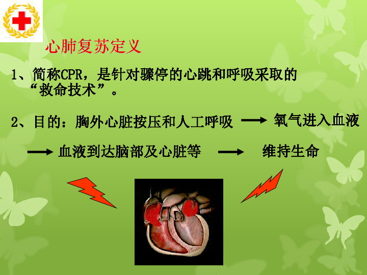 上海版八年级上册生物  3.3.5 模拟心肺复苏 课件(24张PPT)