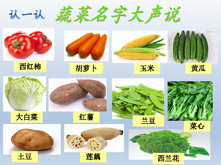 蔬菜名称中文图片