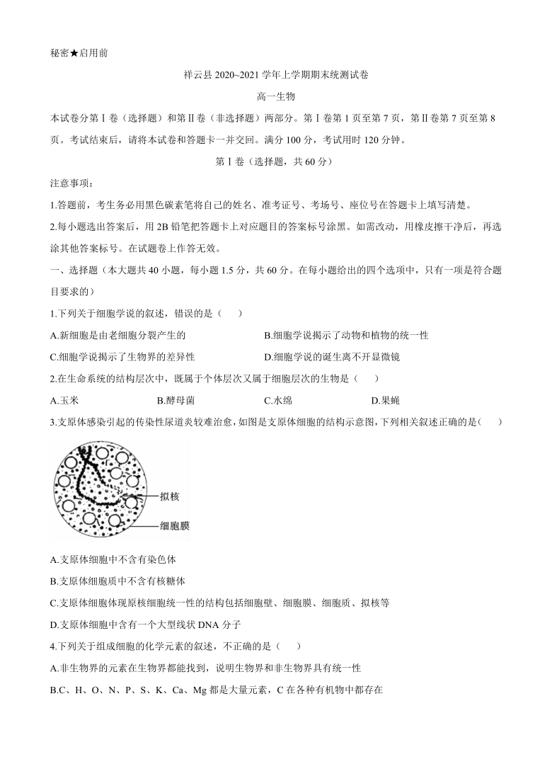 云南省大理州祥云县2020-2021学年高一上学期期末统测生物试题    含答案