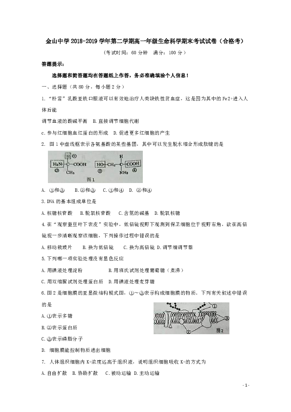 上海市金山中学2018-2019学年高一下学期期末考试 生物（合格考）