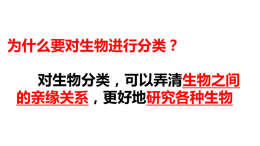 八年级上册生物课件：6. 1.2从种到界(32张ppt）