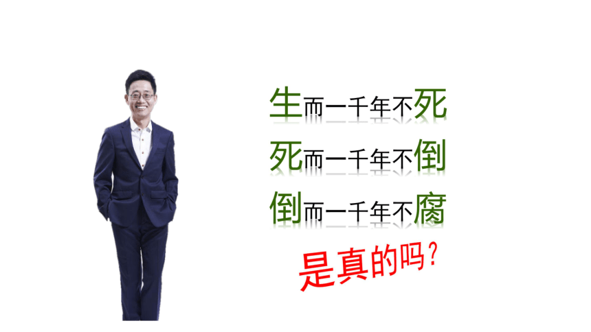 陕西省汉中市佛坪县初级中学人教八年级下册地理课件：8.2《干旱的宝地──塔里木盆地》